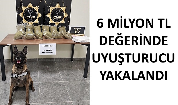 Çanakkale'de Araç İçinde 6 Milyonluk Uyuşturucu Yakalandı