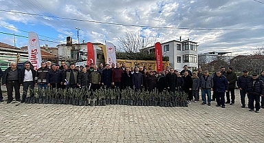 ORMAN YANGININDAN ZARAR GÖREN ÜRETİCİLERE ZEYTİN FİDANI