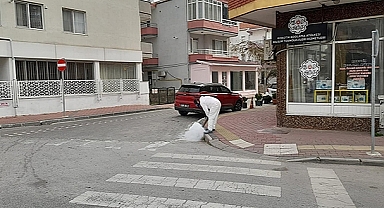 KIŞLAK MÜCADELESİ ÇALIŞMALARI YÜRÜTÜLÜYOR