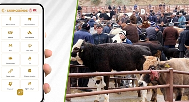 Cebinizden Kurbanlıklarınızı Sorgulayın