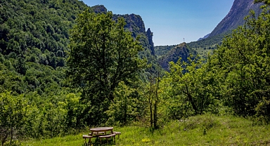 Ormanlara Giriş Yasaklandı