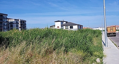 Tekzen Bölgesinde 'ki Sazlık Alan Tehlikesi