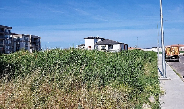 Tekzen Bölgesinde 'ki Sazlık Alan Tehlikesi