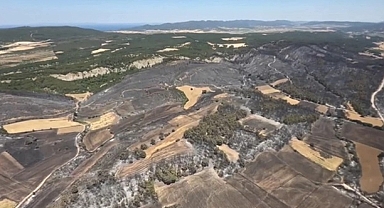 Çanakkale'de 952 futbol sahası büyüklüğünde alan kül oldu