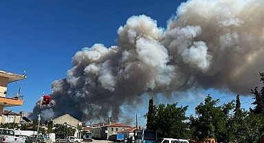 Çanakkale Şehitlik Bölgesinde Orman Yangını!