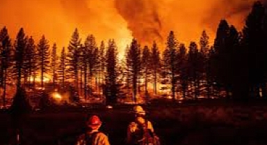 Çanakkale Valiliğinden “Orman yangınlarına karşı önemli uyarı!”