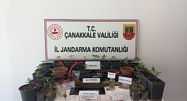 Jandarmadan Eş Zamanlı Operasyon 10 Tutuklama