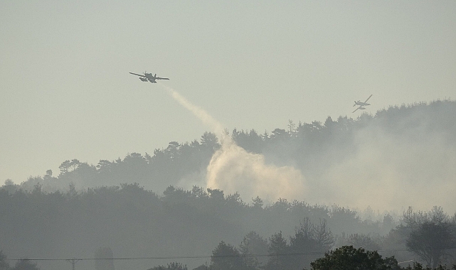 Orman Yangınından Etkilenen Alan Şimdilik 575 hektar