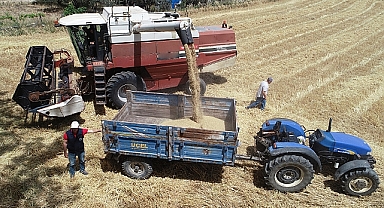 Yerli ve milli tohumlardan üretilen arpalar hasat edildi