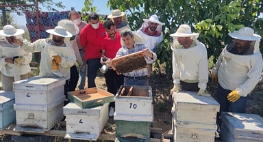Arıcılık Sektörüne Sağlanan Destek Artıyor