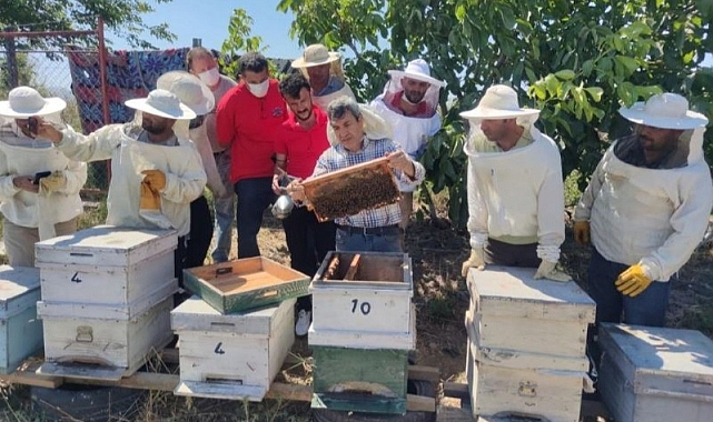 Arıcılık Sektörüne Sağlanan Destek Artıyor
