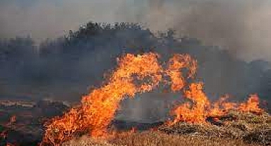 Valilik'ten Orman Yangınlarına Karşı Uyarı