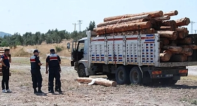 Bayramiç'te Üzerine Tomruk Düşen Sürücü Yaşamını Yitirdi