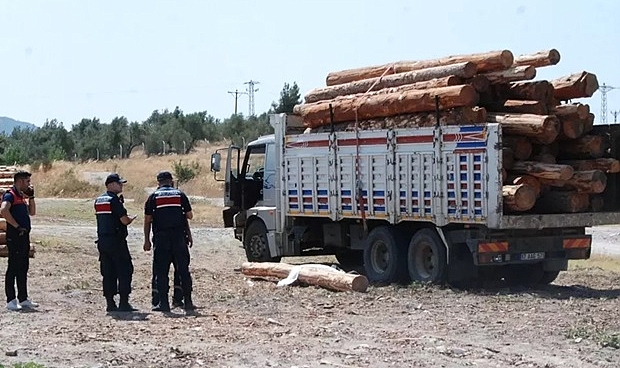 Bayramiç'te Üzerine Tomruk Düşen Sürücü Yaşamını Yitirdi