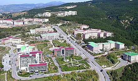 ÇOMÜ' den Bir Akademik Başarı Daha..