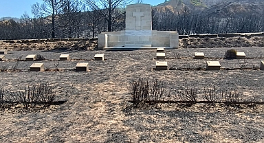 Eceabat Yangınında Canlı Cansız Her Şey Etkilendi