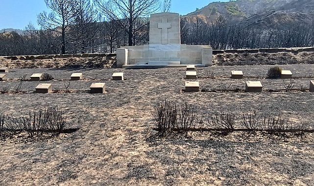 Eceabat Yangınında Canlı Cansız Her Şey  Etkilendi