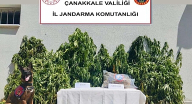 Jandarma'dan Biga'da Uyuşturucu Operasyonu