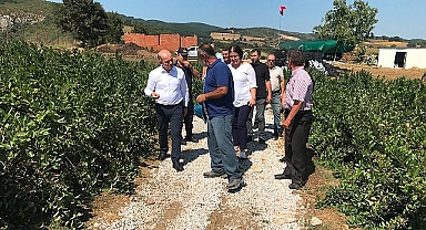 Kaymakam Emre Nebioğlu, Aronya Hasadı Öncesi İncelemelerde Bulundu