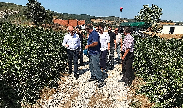 Kaymakam Emre Nebioğlu, Aronya Hasadı Öncesi İncelemelerde Bulundu