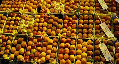 Lapseki Şeftali Festivali Muhteşem Finalle sona Erdi