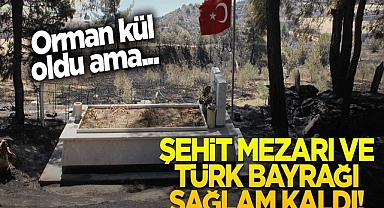 Manisa- Gördes Yangınında Orman kül oldu, şehit mezarı ve Türk bayrağına hiçbir şey olmadı!