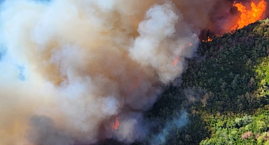 Vali Toroman'dan Yangınla İlgili İlk Açıklama