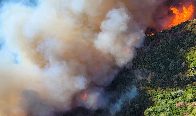 Vali Toroman'dan Yangınla İlgili İlk Açıklama