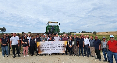 Çanakkale ve İlçelerdeki Üreticilere Yağlık Ayçiçeği Tohumu Desteği