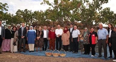 Vali Toraman, Ayvacık-Şapköy Geleneksel Antep Fıstığı Şenliğine Katıldı