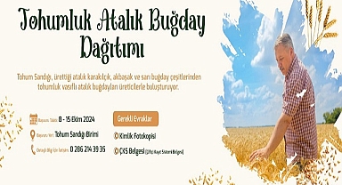 Tohumluk Atalık Buğday Dağıtımı Başlıyor…