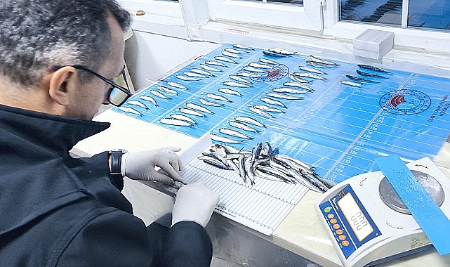 Ayvacık'ta Ticari Balıkçılığı İzleme, Veri Toplama Projesi