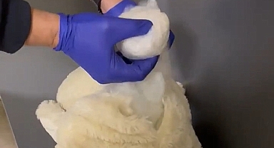 Lapseki 'de Oyuncak ayı içinde gizlenmiş uyuşturucu yakalandı