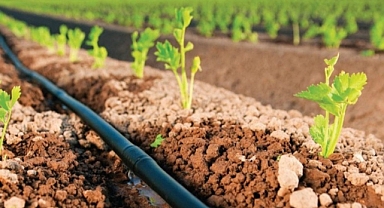 ÇOMÜ'den Damlama Sulama İçin Yeni Proje