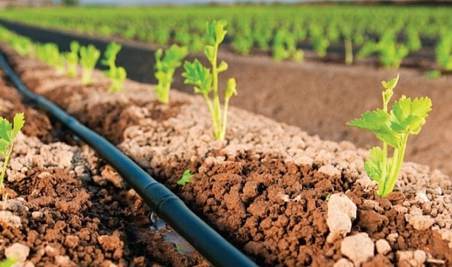 ÇOMÜ'den Damlama Sulama İçin Yeni Proje
