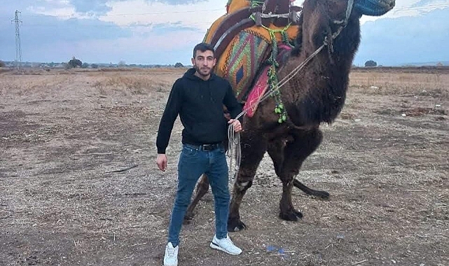 Ezine Deve Güreşleri Eğlence Gecesinde Cinayet..