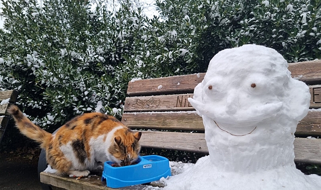 Uludağ Elektrik, Yaz Kış Demeden Sokak Hayvanlarına Destek Olmaya Devam Ediyor