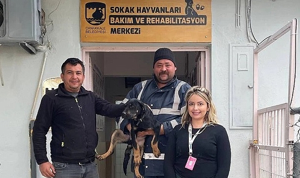 Çanakkale Belediyesi'nin Can Dostlarımız İçin Çalışmaları Sürüyor...