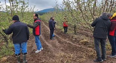 Çanakkale'de Zirai Don Hasar Tespit Çalışmaları Sürüyor