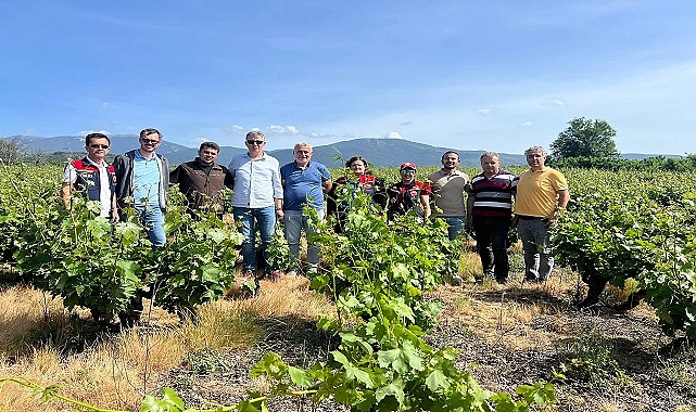 Çanakkale'de Görülen  Don Olayından Sonra Tarım Ekipleri Sahada
