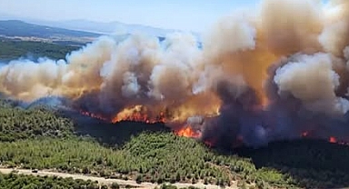 Çanakkale'de Ormanlık Alanlara Giriş Yasağı Başladı