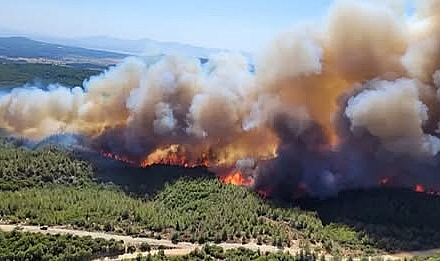 Çanakkale'de Ormanlık Alanlara Giriş Yasağı Başladı