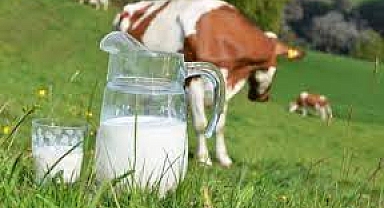 Çanakkale Genelinde 6689 Yetiştiriciye Çiğ Süt Desteği Yapıldı