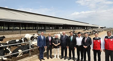 Çanakkale Valisi Toraman, Uluova Süt ve Damızlık Üretim Tesisleri’nde üretimi yerinde inceledi.
