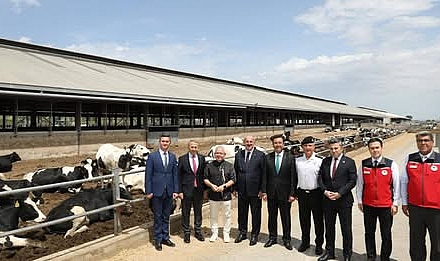 Çanakkale Valisi Toraman, Uluova Süt ve Damızlık Üretim Tesisleri’nde üretimi yerinde inceledi.