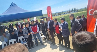 Gelibolu İlçesinde, 