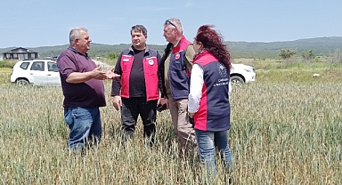 Gelibolu Ziraat Odası Başkanı Kaya, ''Tarımsal Üretim Tehlikede''!