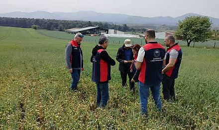 İl Tarım ve Orman Müdürlüğü Ekipleri, Sahada Üreticilerle Buluşuyor.