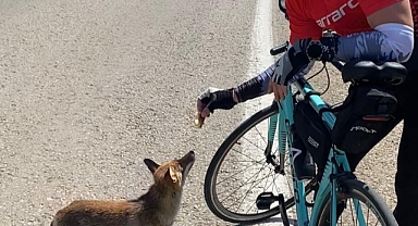 Murat Tecimen Antrenmanında Tilki Misafir Etti