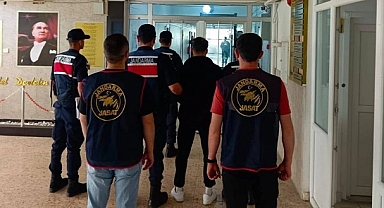 Çanakkale'de 15 Günde 11 Orman Yangını, 6 Gözaltı